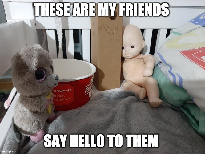 Say hello to my roommates | THESE ARE MY FRIENDS; SAY HELLO TO THEM | image tagged in funny,funny memes | made w/ Imgflip meme maker