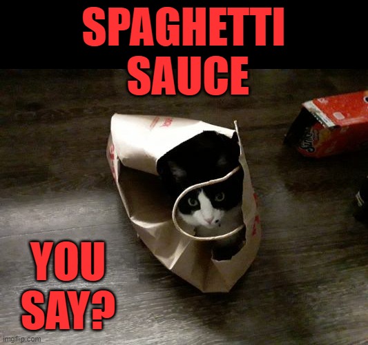 SPAGHETTI  SAUCE YOU SAY? | made w/ Imgflip meme maker