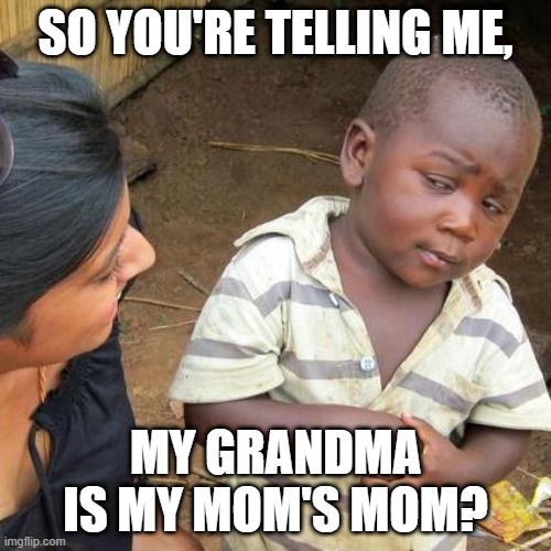 Me when I was 5 | SO YOU'RE TELLING ME, MY GRANDMA IS MY MOM'S MOM? | image tagged in memes,third world skeptical kid | made w/ Imgflip meme maker