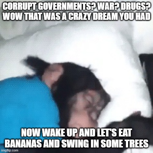 waking up chimp | CORRUPT GOVERNMENTS? WAR? DRUGS? WOW THAT WAS A CRAZY DREAM YOU HAD; NOW WAKE UP AND LET'S EAT BANANAS AND SWING IN SOME TREES | image tagged in waking up chimp | made w/ Imgflip meme maker