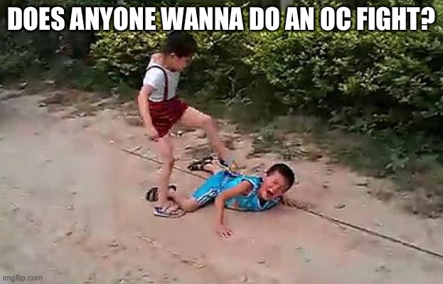 Or maybe a tournament? | DOES ANYONE WANNA DO AN OC FIGHT? | image tagged in fight | made w/ Imgflip meme maker