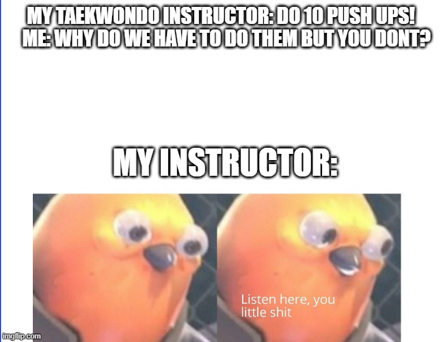 Listen here you little shit | MY TAEKWONDO INSTRUCTOR: DO 10 PUSH UPS!    ME: WHY DO WE HAVE TO DO THEM BUT YOU DONT? MY INSTRUCTOR: | image tagged in listen here you little shit | made w/ Imgflip meme maker