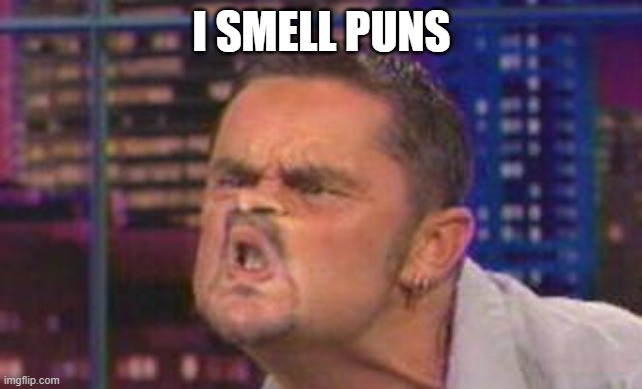I smell... | I SMELL PUNS | image tagged in i smell | made w/ Imgflip meme maker