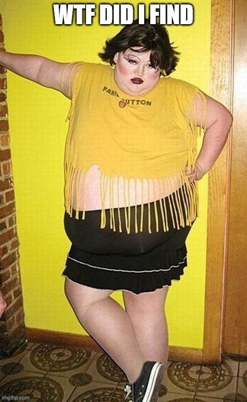 WTH | WTF DID I FIND | image tagged in steelers cheerleaders | made w/ Imgflip meme maker