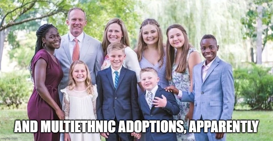 AND MULTIETHNIC ADOPTIONS, APPARENTLY | made w/ Imgflip meme maker