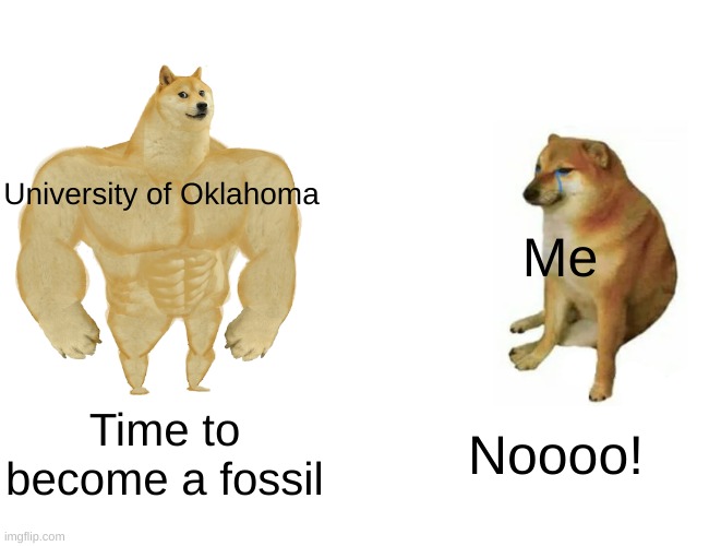 Buff Doge vs. Cheems Meme | University of Oklahoma Me Time to become a fossil Noooo! | image tagged in memes,buff doge vs cheems | made w/ Imgflip meme maker