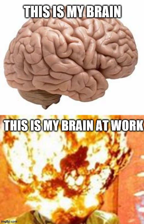 My brain at work! | THIS IS MY BRAIN; THIS IS MY BRAIN AT WORK | image tagged in brain,SubSimGPT2Interactive | made w/ Imgflip meme maker