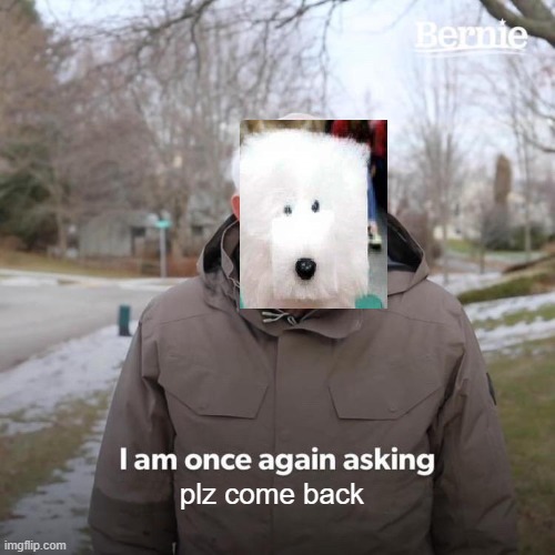 Bernie I Am Once Again Asking For Your Support Meme | plz come back | image tagged in memes,bernie i am once again asking for your support | made w/ Imgflip meme maker