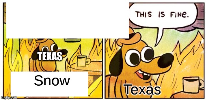 This is not fine | TEXAS; Snow; Texas | image tagged in memes,this is fine | made w/ Imgflip meme maker