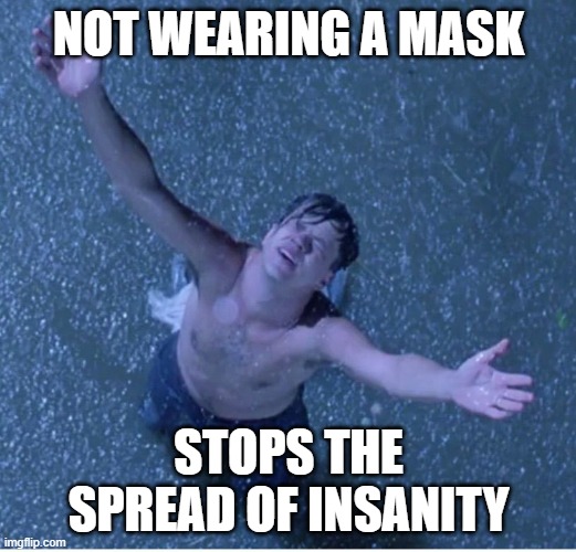 Shawshank redemption freedom | NOT WEARING A MASK STOPS THE SPREAD OF INSANITY | image tagged in shawshank redemption freedom | made w/ Imgflip meme maker