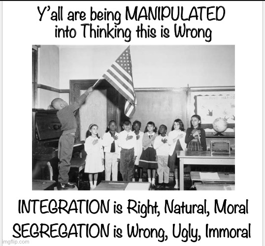 PEOPLE — We’re all People    ~ neverwoke ~ |  Y’all are being MANIPULATED 
into Thinking this is Wrong; INTEGRATION is Right, Natural, Moral; SEGREGATION is Wrong, Ugly, Immoral | image tagged in segregation,integration,puppets,manipulation,huge mistake,dont segregate | made w/ Imgflip meme maker