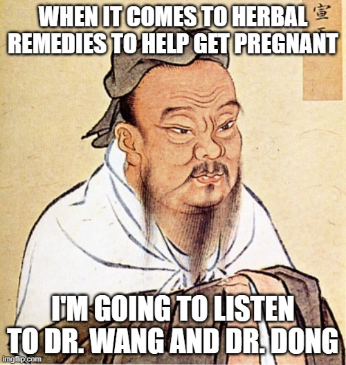 Confucius Says | WHEN IT COMES TO HERBAL REMEDIES TO HELP GET PREGNANT; I'M GOING TO LISTEN TO DR. WANG AND DR. DONG | image tagged in confucius says | made w/ Imgflip meme maker