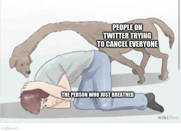WikiHow Dog | PEOPLE ON TWITTER TRYING TO CANCEL EVERYONE; THE PERSON WHO JUST BREATHED | image tagged in wikihow dog | made w/ Imgflip meme maker