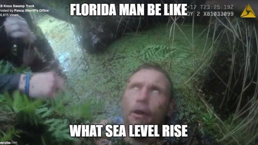 Florida man | image tagged in funny | made w/ Imgflip meme maker