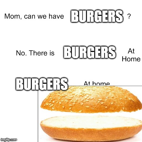 the burgers at home are almost always gross | BURGERS; BURGERS; BURGERS | image tagged in mom can we have | made w/ Imgflip meme maker
