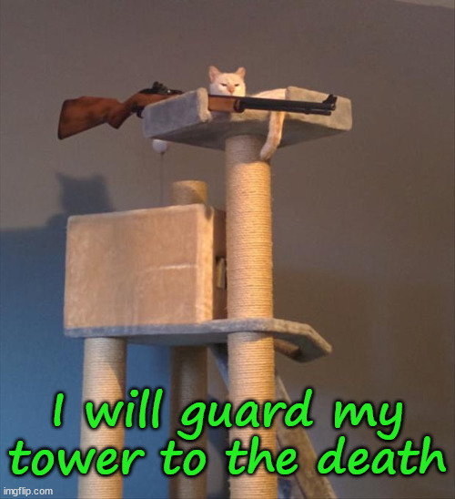 I will guard my tower to the death | image tagged in cats | made w/ Imgflip meme maker