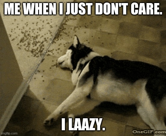 I | ME WHEN I JUST DON'T CARE. I LAAZY. | image tagged in tired dog | made w/ Imgflip meme maker