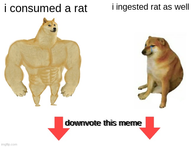 downvote begging in upvote begging stream lol | i consumed a rat; i ingested rat as well; downvote this meme; downvote this meme | image tagged in memes,buff doge vs cheems | made w/ Imgflip meme maker