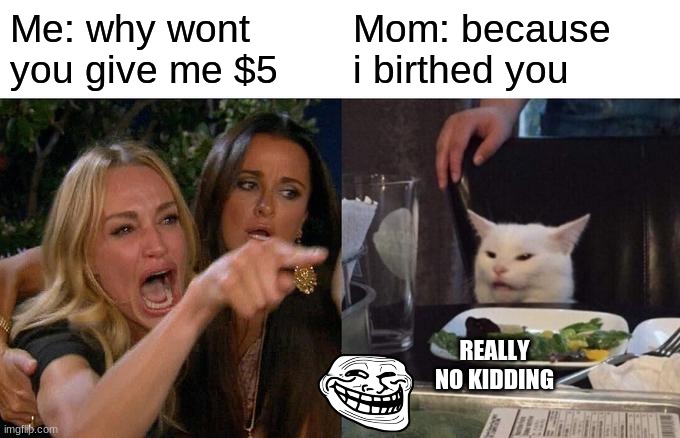 Woman Yelling At Cat | Me: why wont you give me $5; Mom: because i birthed you; REALLY NO KIDDING | image tagged in memes,woman yelling at cat | made w/ Imgflip meme maker