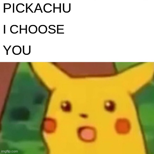 Surprised Pikachu Meme | PICKACHU; I CHOOSE; YOU | image tagged in memes,surprised pikachu | made w/ Imgflip meme maker