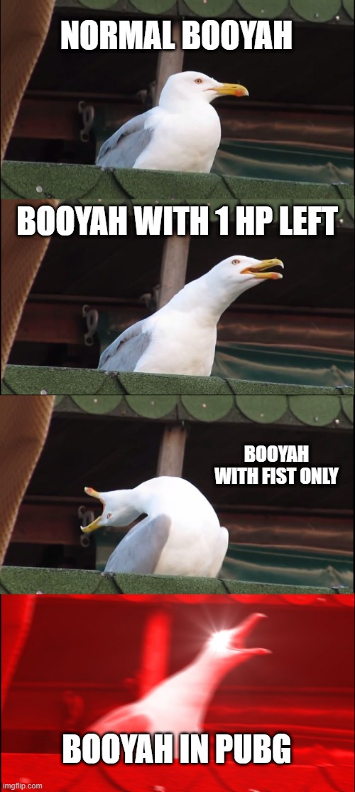 FREE FIRE MIXED WITH PUBG | NORMAL BOOYAH; BOOYAH WITH 1 HP LEFT; BOOYAH WITH FIST ONLY; BOOYAH IN PUBG | image tagged in memes,inhaling seagull | made w/ Imgflip meme maker