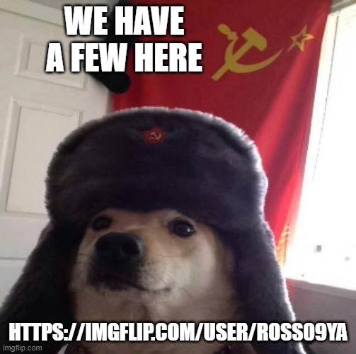 Russian Doge | WE HAVE A FEW HERE HTTPS://IMGFLIP.COM/USER/ROSS09YA | image tagged in russian doge | made w/ Imgflip meme maker