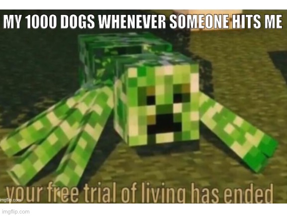 My 1000 Minecraft Dogs | image tagged in screeper,my 1000 dogs | made w/ Imgflip meme maker