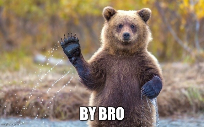 bye bye bear | BY BRO | image tagged in bye bye bear | made w/ Imgflip meme maker