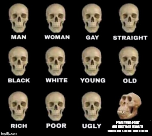 idiot skull | PEOPLE WHO POINT OUT THAT YOUR FAVORITE SONGS ARE STOLEN FROM TIKTOK | image tagged in idiot skull | made w/ Imgflip meme maker