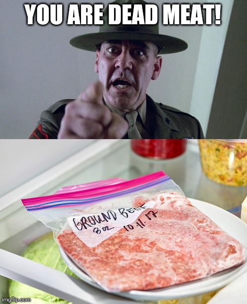 YOU ARE DEAD MEAT! | image tagged in full metal jacket pointing at you | made w/ Imgflip meme maker