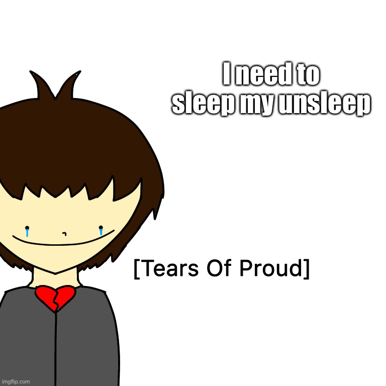 Tears Of Proud | I need to sleep my unsleep | image tagged in tears of proud | made w/ Imgflip meme maker