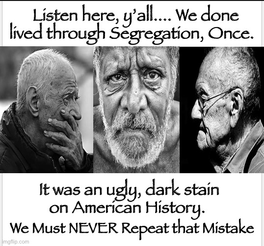 Segregation?  AGAIN?!     ~ neverwoke ~ | Listen here, y’all.... We done lived through Segregation, Once. It was an ugly, dark stain 
on American History. We Must NEVER Repeat that Mistake | image tagged in democrats,woke,progressives,black and white,another stupid idea,when will this madness end | made w/ Imgflip meme maker