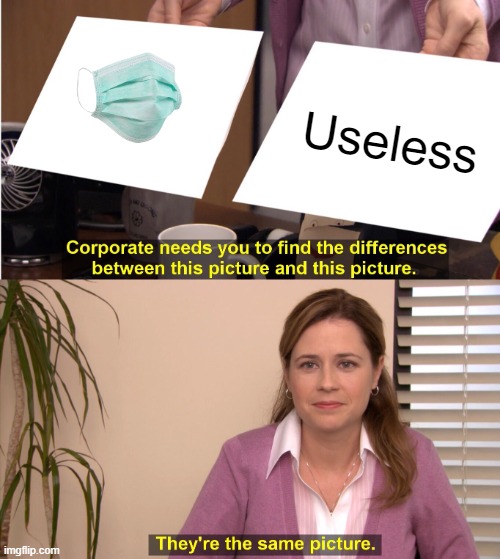 Same Picture | Useless | image tagged in memes,they're the same picture | made w/ Imgflip meme maker