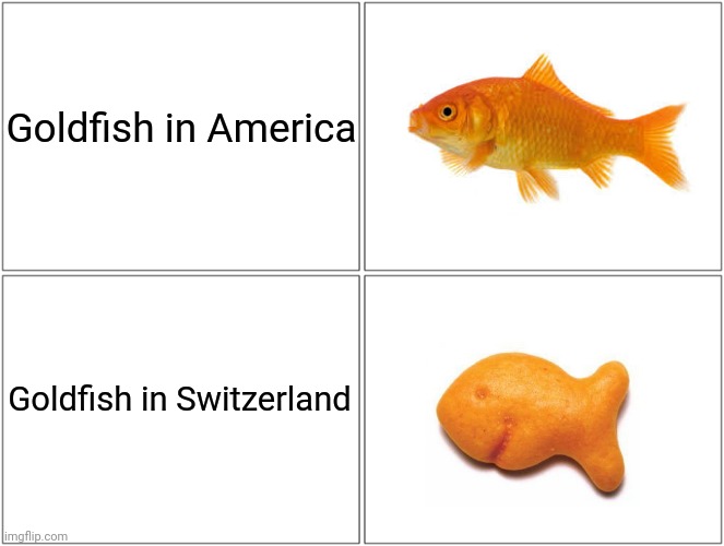 More Examples of Fish Spieces in Different Places | Goldfish in America; Goldfish in Switzerland | image tagged in memes,blank comic panel 2x2 | made w/ Imgflip meme maker