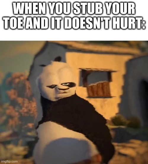 Drunk Kung Fu Panda | WHEN YOU STUB YOUR TOE AND IT DOESN'T HURT: | image tagged in drunk kung fu panda | made w/ Imgflip meme maker