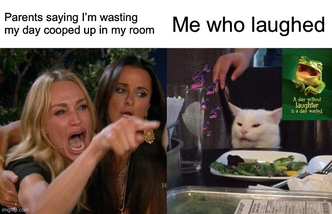 Straight chillin | Parents saying I’m wasting my day cooped up in my room; Me who laughed | image tagged in memes,woman yelling at cat | made w/ Imgflip meme maker
