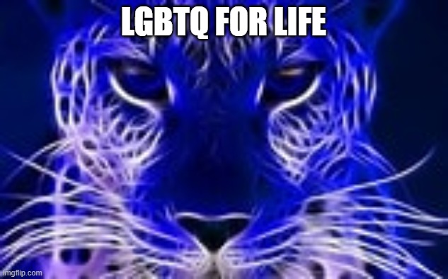 Guess which one I am | LGBTQ FOR LIFE | made w/ Imgflip meme maker