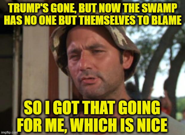 So I Got That Goin For Me Which Is Nice Meme | TRUMP'S GONE, BUT NOW THE SWAMP HAS NO ONE BUT THEMSELVES TO BLAME SO I GOT THAT GOING FOR ME, WHICH IS NICE | image tagged in memes,so i got that goin for me which is nice | made w/ Imgflip meme maker