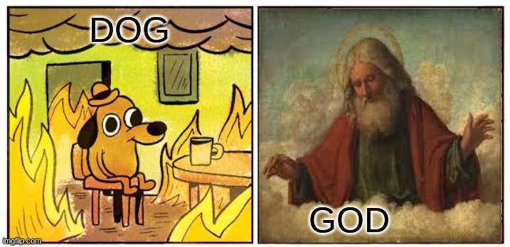 This Is Fine Meme | DOG GOD | image tagged in memes,this is fine | made w/ Imgflip meme maker