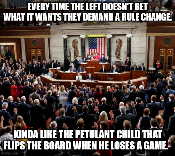 left loses | EVERY TIME THE LEFT DOESN'T GET WHAT IT WANTS THEY DEMAND A RULE CHANGE. KINDA LIKE THE PETULANT CHILD THAT FLIPS THE BOARD WHEN HE LOSES A GAME. | image tagged in petulant | made w/ Imgflip meme maker