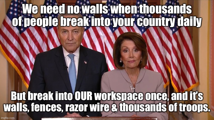 We know who THEY work for, and it ain’t YOU! | We need no walls when thousands of people break into your country daily; But break into OUR workspace once, and it’s walls, fences, razor wire & thousands of troops. | image tagged in chuck and nancy,walls,fences,capitol riot,illegal aliens,double standard | made w/ Imgflip meme maker