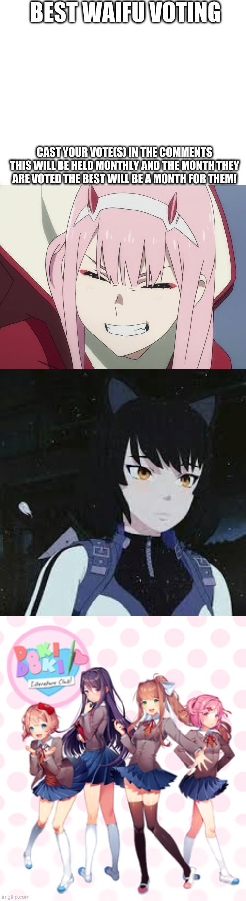 This does include ANY not featured in the image! (or husbandos) | BEST WAIFU VOTING; CAST YOUR VOTE(S) IN THE COMMENTS THIS WILL BE HELD MONTHLY AND THE MONTH THEY ARE VOTED THE BEST WILL BE A MONTH FOR THEM! | image tagged in blank white template,smiling zero-two,rwby blake,doki doki literature club | made w/ Imgflip meme maker