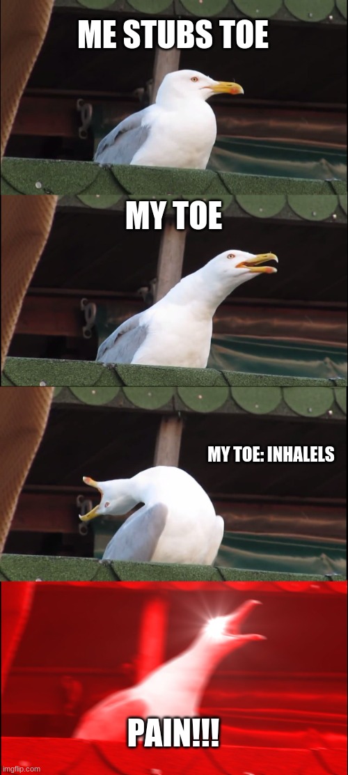 Inhaling Seagull Meme | ME STUBS TOE; MY TOE; MY TOE: INHALELS; PAIN!!! | image tagged in memes,inhaling seagull | made w/ Imgflip meme maker