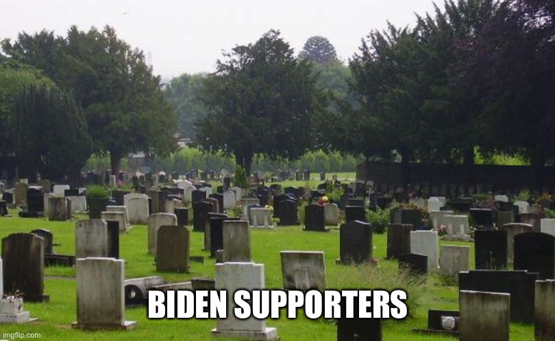 Graveyard | BIDEN SUPPORTERS | image tagged in graveyard | made w/ Imgflip meme maker