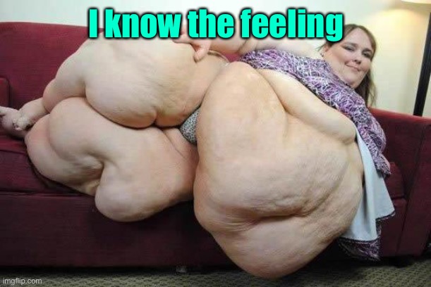 fat girl | I know the feeling | image tagged in fat girl | made w/ Imgflip meme maker