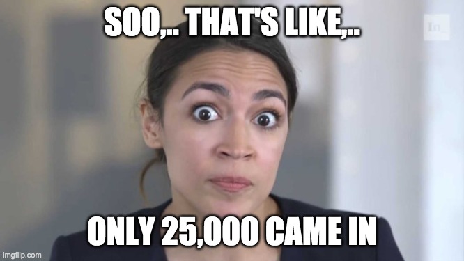 Crazy Alexandria Ocasio-Cortez | SOO,.. THAT'S LIKE,.. ONLY 25,000 CAME IN | image tagged in crazy alexandria ocasio-cortez | made w/ Imgflip meme maker
