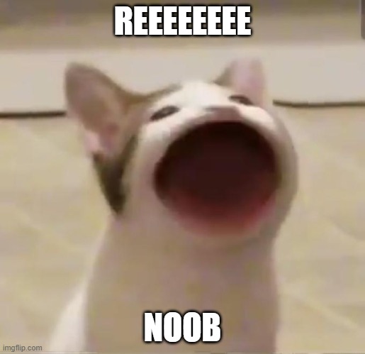 Pop Cat | REEEEEEEE; NOOB | image tagged in pop cat | made w/ Imgflip meme maker