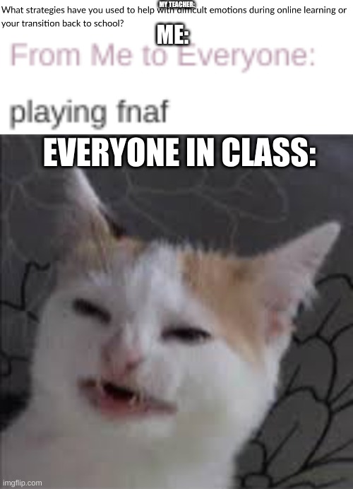 Playing fnaf. | MY TEACHER:; ME:; EVERYONE IN CLASS: | image tagged in memes,cat,counfused,fnaf,zoom,school | made w/ Imgflip meme maker