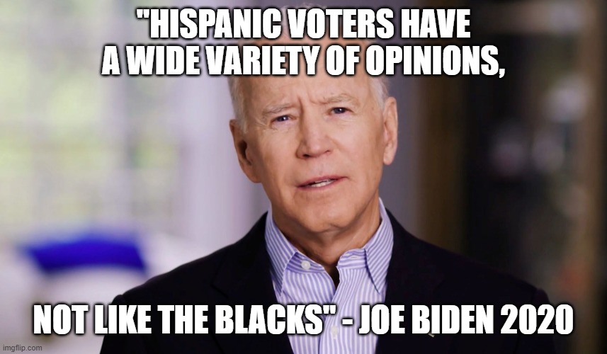 Joe Biden 2020 | "HISPANIC VOTERS HAVE A WIDE VARIETY OF OPINIONS, NOT LIKE THE BLACKS" - JOE BIDEN 2020 | image tagged in joe biden 2020 | made w/ Imgflip meme maker