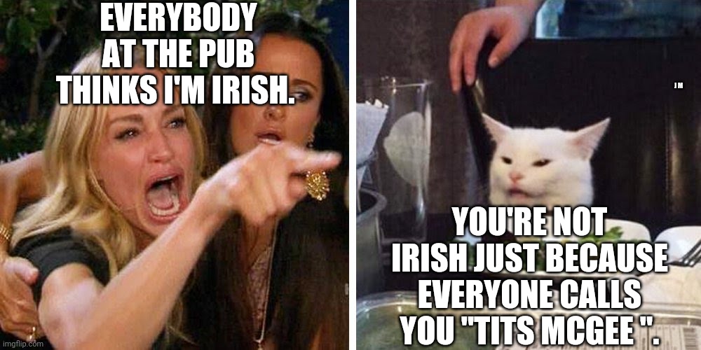 Smudge the cat | EVERYBODY AT THE PUB THINKS I'M IRISH. J M; YOU'RE NOT IRISH JUST BECAUSE EVERYONE CALLS YOU "TITS MCGEE ". | image tagged in smudge the cat | made w/ Imgflip meme maker